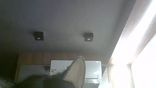 Snapshot of Skinny-Kitten chatting on 17, 5, 2026 Skinny-Kitten online show from 17, 5, 2026