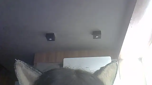 Snapshot of Skinny-Kitten chatting on 27, 5, 2026 Skinny-Kitten online show from 27, 5, 2026