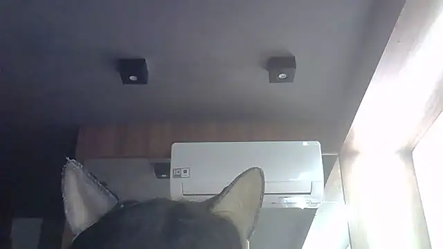 Snapshot of Skinny-Kitten chatting on 28, 5, 2026 Skinny-Kitten online show from 28, 5, 2026