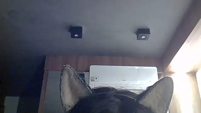 Skinny-Kitten online show from 12, 7, 2026