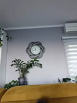 Bodily Trick online show from 25, 5, 2026