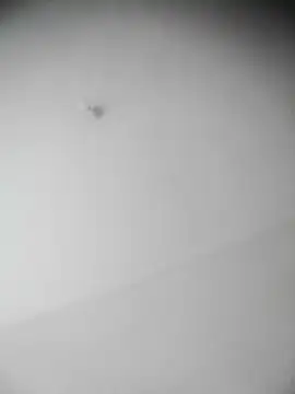 Snapshot of bestofyalcinturkey chatting on 3, 12, 2024 bestofyalcinturkey online show from 3, 12, 2024