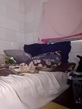 Stormward online show from 25, 3, 2026