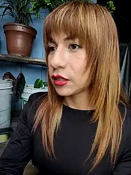 Evehampy online show from 17, 12, 2024