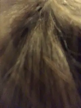  Sweet Love  online show from 29, 3, 2026