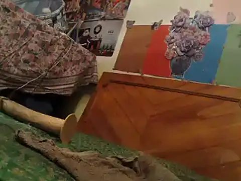 EllyseJenner online show from 6, 1, 2025