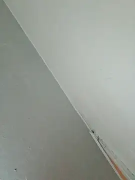 Stomps33 online show from 5, 2, 2026