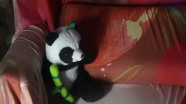 Snapshot of -AyeshaSinghania- chatting on 27, 10, 2025 -AyeshaSinghania- online show from 27, 10, 2025