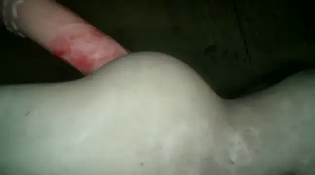 Snapshot of xxxlecram chatting on 9, 1, 2025 xxxlecram online show from 9, 1, 2025