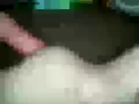 Snapshot of xxxlecram chatting on 15, 1, 2025 xxxlecram online show from 15, 1, 2025