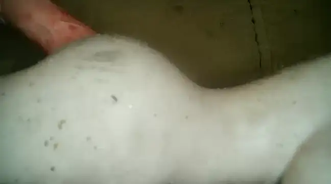 Snapshot of xxxlecram chatting on 5, 3, 2025 xxxlecram online show from 5, 3, 2025