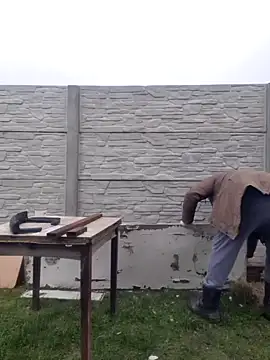 Snapshot of Pandasky chatting on 6, 2, 2025 Pandasky online show from 6, 2, 2025