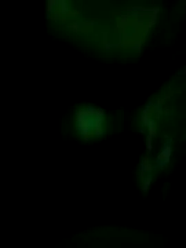 Vuyokaki online show from 30, 11, 2025