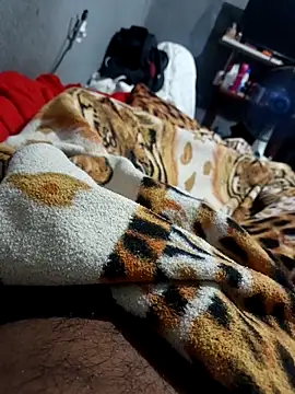 Snapshot of Mailsonp chatting on 26, 2, 2026 Mailsonp online show from 26, 2, 2026