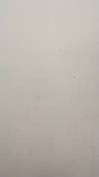 Shuttii 25 online show from 25, 1, 2025