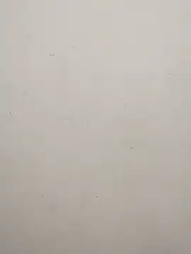 Shuttii 25 online show from 17, 2, 2025