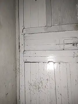 rounakhunk online show from 7, 4, 2026