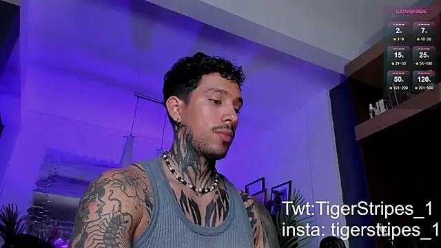 TigerStripes1  online show from 2, 3, 2025