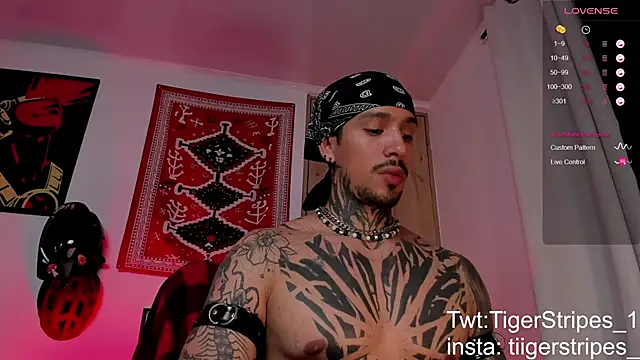 TigerStripes1  online show from 19, 3, 2026