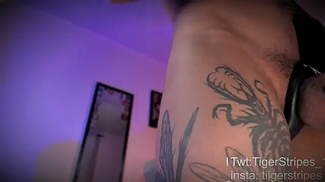 TigerStripes1  online show from 10, 4, 2026