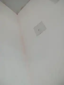 loiradiva29 online show from 22, 3, 2025