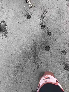 Snapshot of kvr27 chatting on 24, 2, 2026 kvr27 online show from 24, 2, 2026